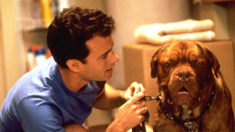   Turner & Bibine (1989)