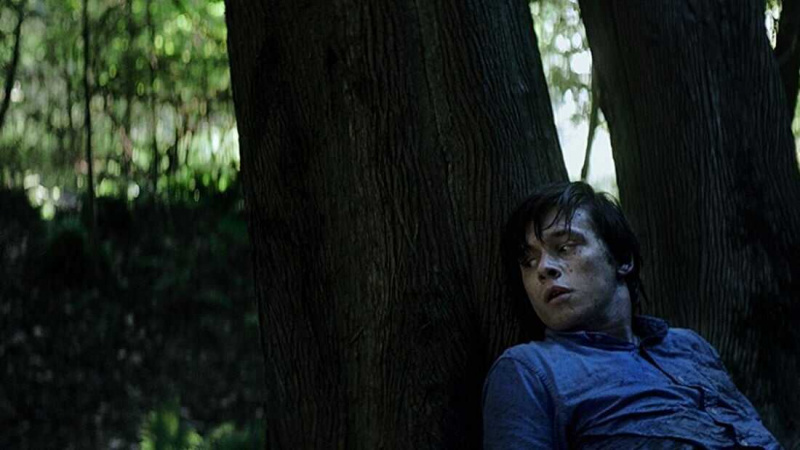   Outoa mutta totta (2019)