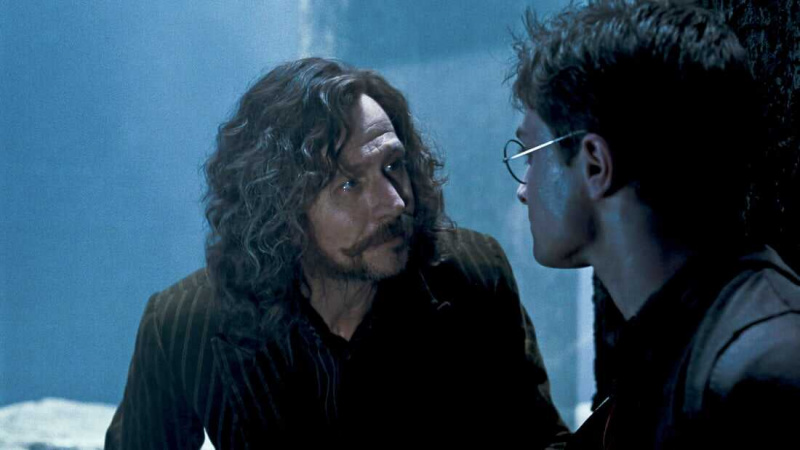   Sirius Black (The Harry Potter Franchise)