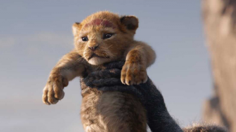  Simba (Løvenes konge)