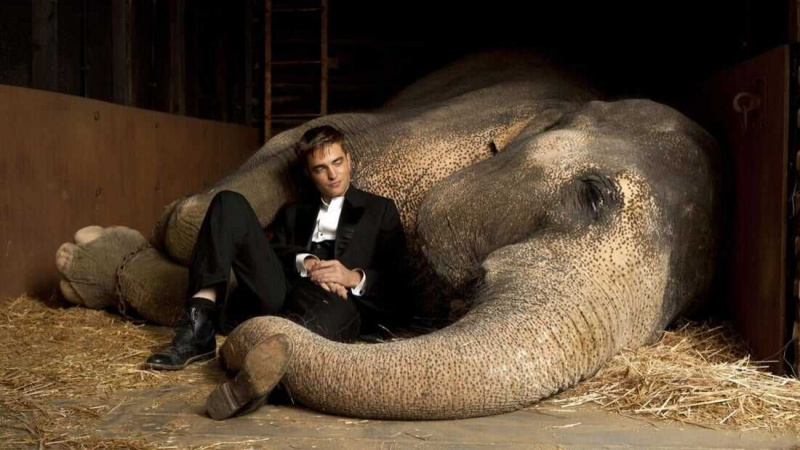   De l'eau pour les éléphants (2011)