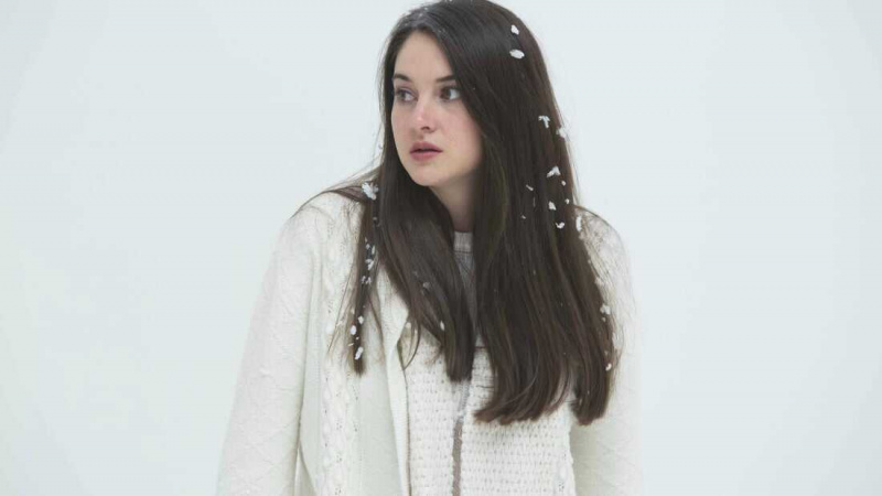  Oiseau blanc dans un blizzard (2014)
