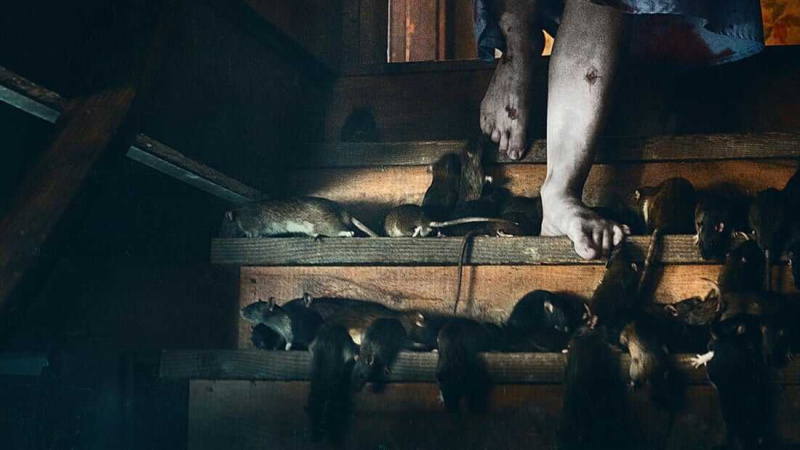   1922 (2017)