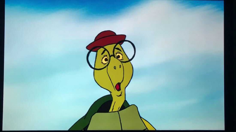  Tartaruga Toby (Robin Hood)