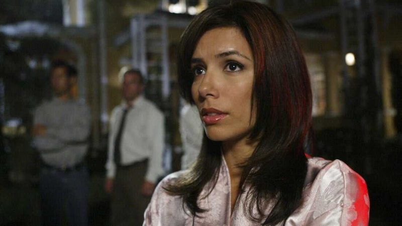   Donas de casa desesperadas (série de TV 2004–2012)