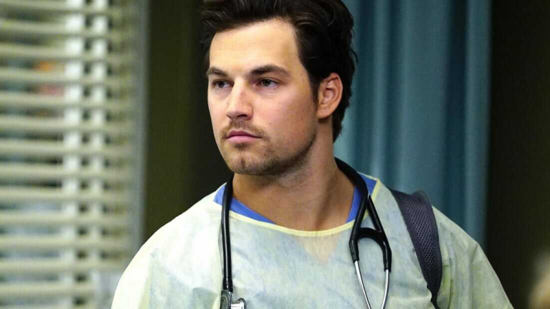   Cinza's Anatomy (TV Series 2005– )
