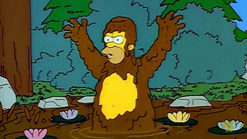   Os Simpsons (série de TV 1989–)