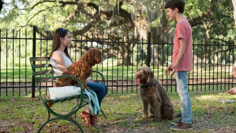   Think Like a Dog (2020)