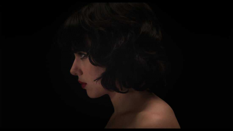   アンダー・ザ・スキン (2013)