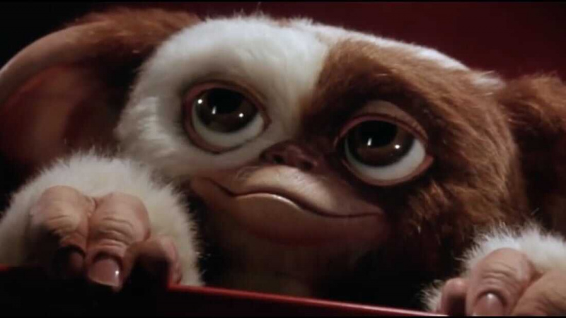   Gizmo - เกรมลินส์