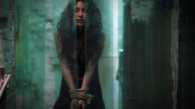  ฉันเห็นปีศาจ (2010)