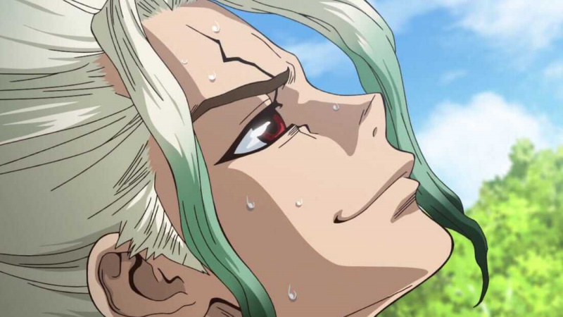   Dr Stone
