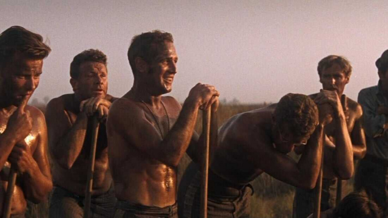   Os 25 melhores filmes com pontuação 100% de tomate podre no Amazon Prime em 2023 [Classificado]