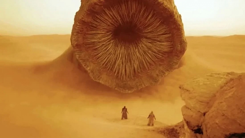   Wydma (2021)