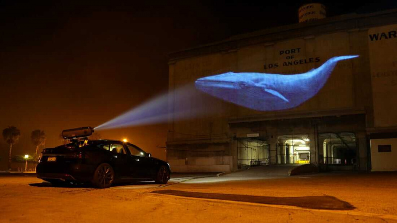   Racing Extinction (2015)