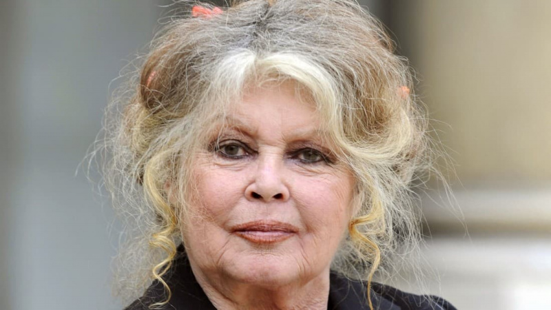   Brigitte Bardot