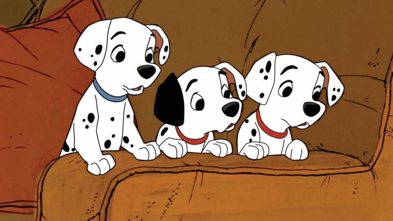  Je Sto in en dalmatinec na Disney Plus?
