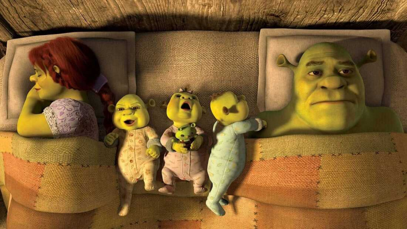   Shrek voor altijd daarna (2010)