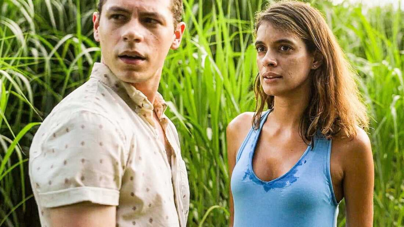   In the High Grass (2019)