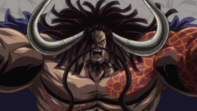   Kaido (4 6111 100 000 baies)