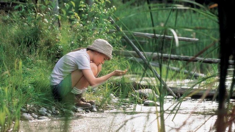   Odlecieć do domu (1996)
