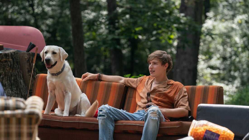   Dog Gone (2023)
