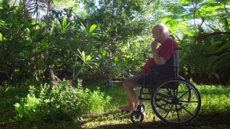   Ram Dass, Going Home (2017)