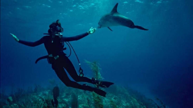   Mission Blue (2014)