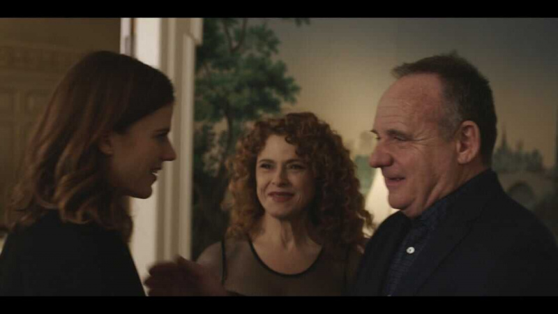   Het goede gevecht (tv-serie 2017-2022)