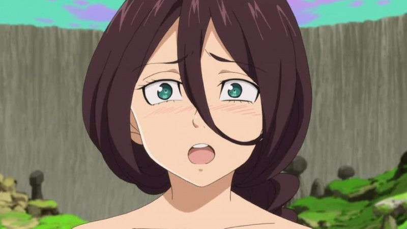   Zaneri