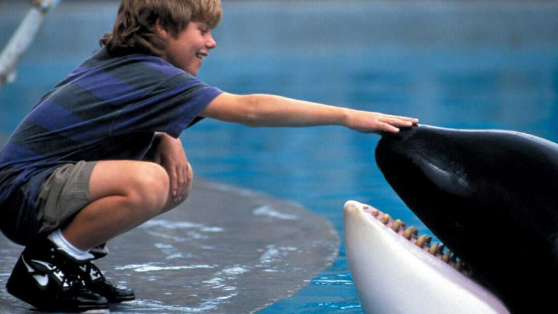   フリー・ウィリー (1993)