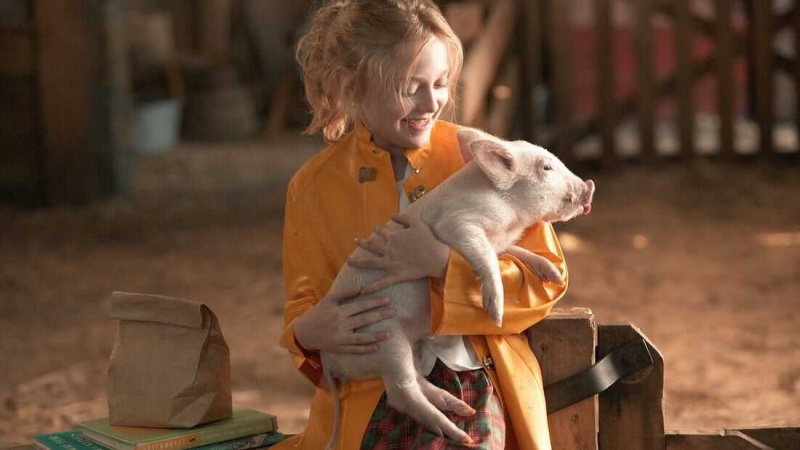   Charlotte's Web (2006)