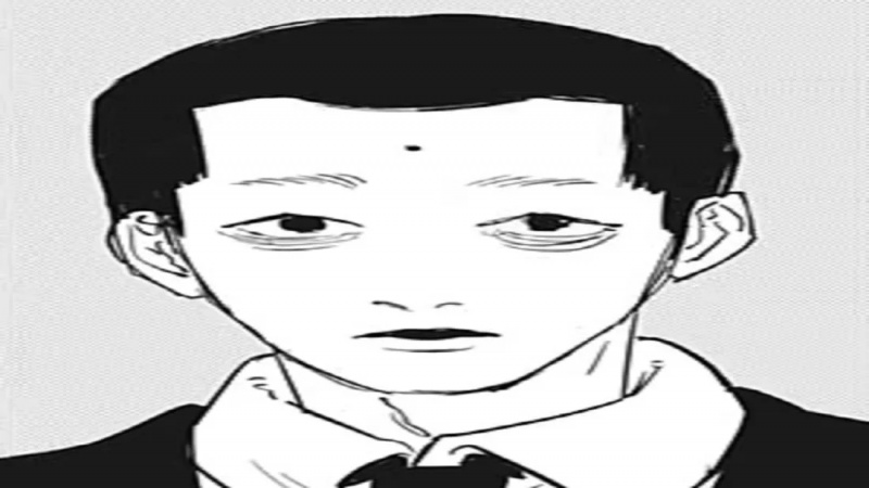  Tamaoki