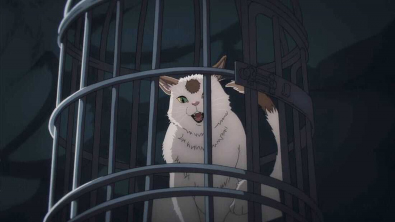   Miau