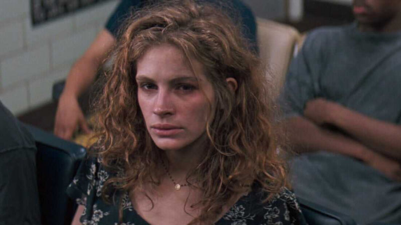   Краткое описание пеликана (1993)
