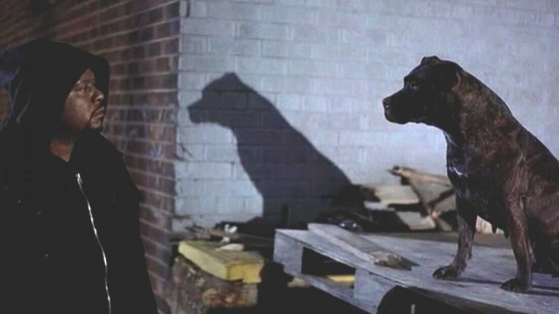   Cão Fantasma: O Caminho do Samurai (1999)