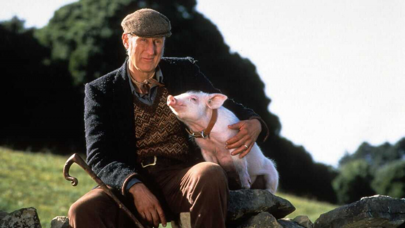   nena (1995)