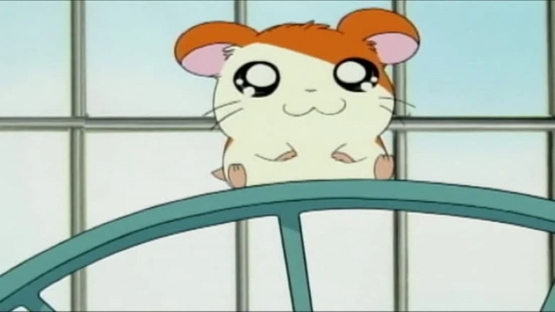   Hamtaro (2000)