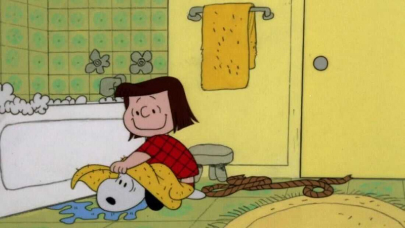   Snoopy wróć do domu (1972)