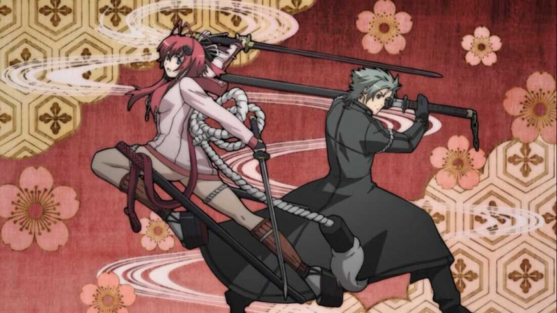   Hyakka Ryouran: Samurai Girls (2010)