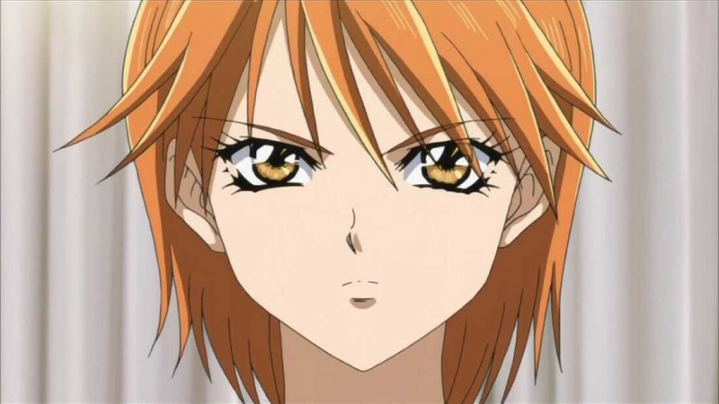   Kyoko Mogami (Skip Beat!)