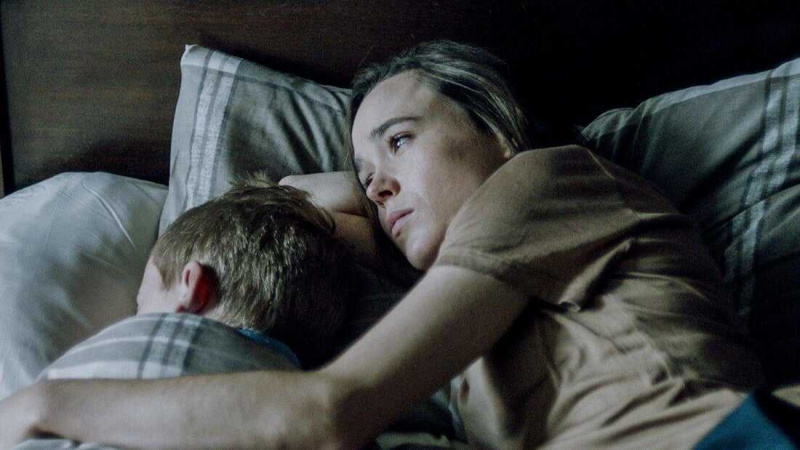   Los curados (2017)