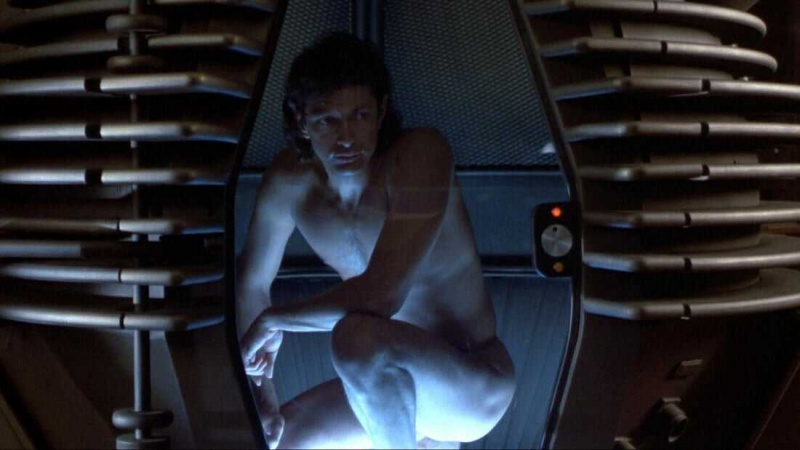   La mosca (1986)