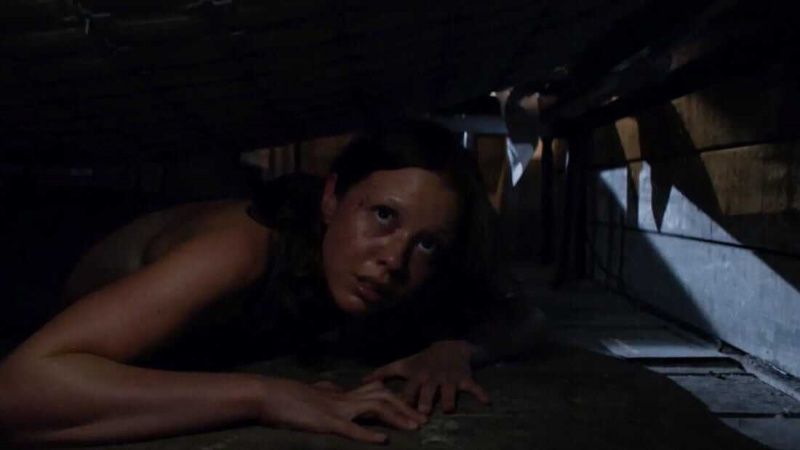   X (2022)