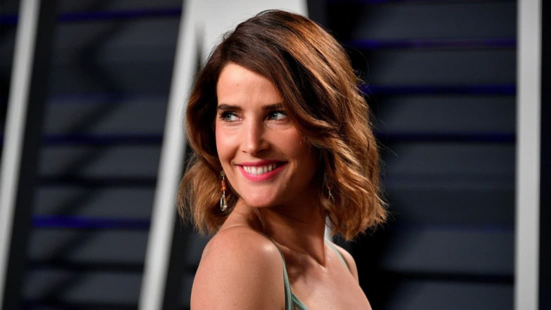   Cobie Smulders