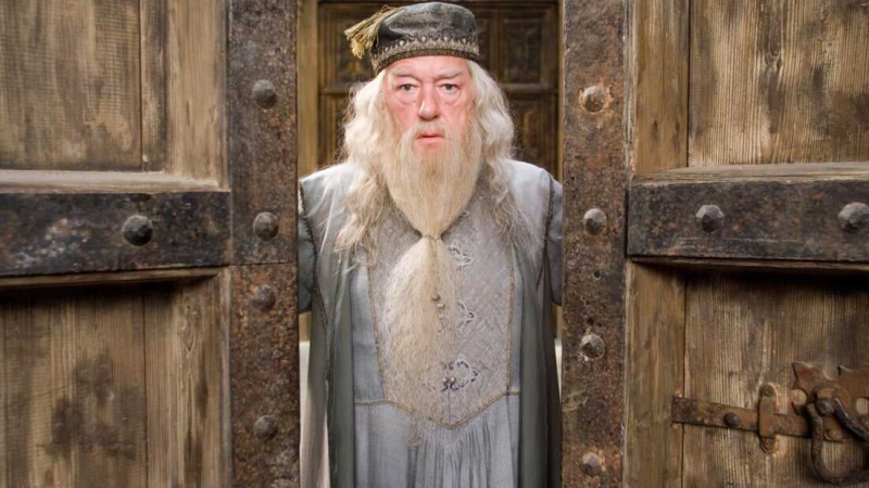  Albus Dumbledore (Harry Potter Evreni)