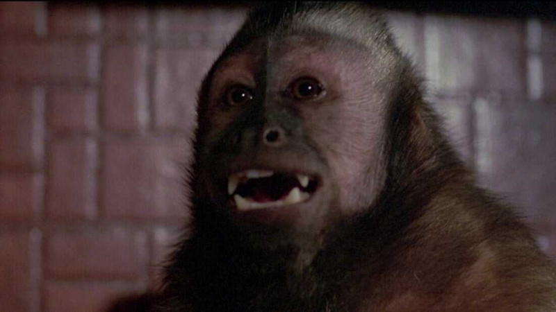   Monkey Shines (1988)