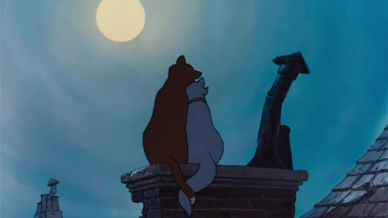  Top 21 der besten Tierfilme auf Disney Plus im Jahr 2023 [Rangliste]