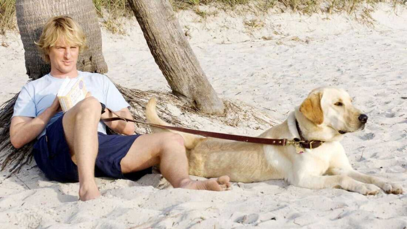   Marley und ich (2008)