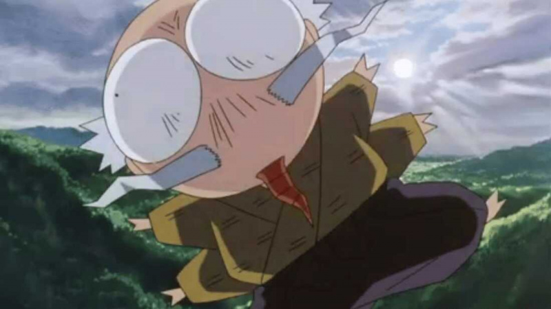   Myoga